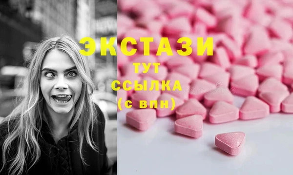 хмурый Алексин