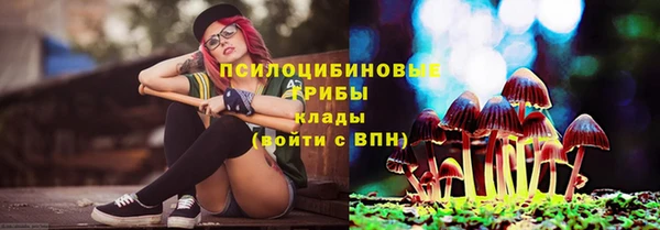 крисы Осташков