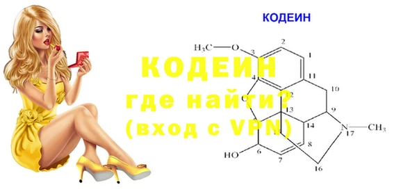хмурый Алексин