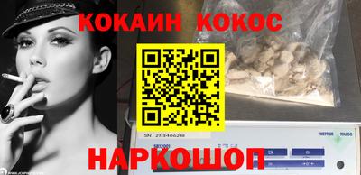 СК Новодвинск