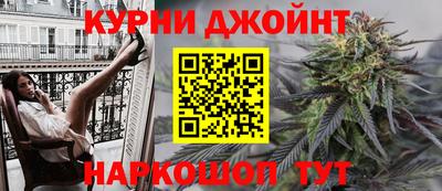 СК Новодвинск