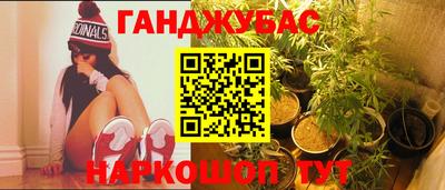 СК Новодвинск