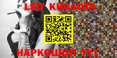 СК Новодвинск