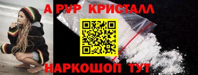 СК Новодвинск